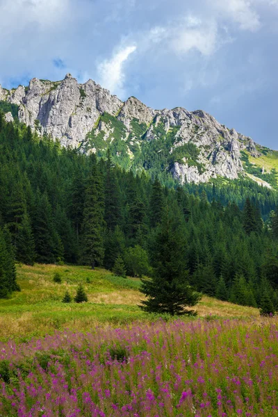 Paysage des montagnes Tatra — Photo