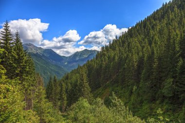 Tatra Dağları peyzaj