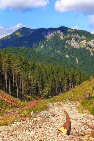 Tatra 산 풍경 — 스톡 사진