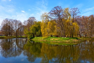 Parktaki gölet
