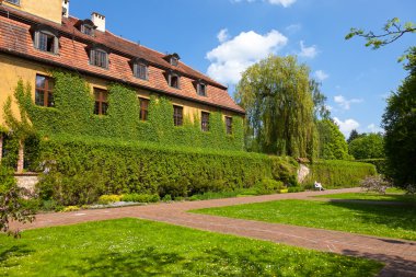 aşırı büyümüş sera