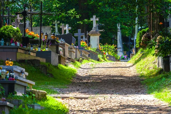 Cemetery alley — Stock Photo, Image