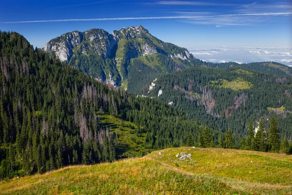 Polonia montagne — Foto Stock