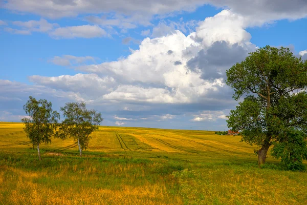 Scena — Zdjęcie stockowe