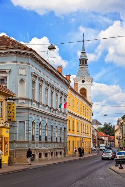 Eger Przewodniczący — Zdjęcie stockowe