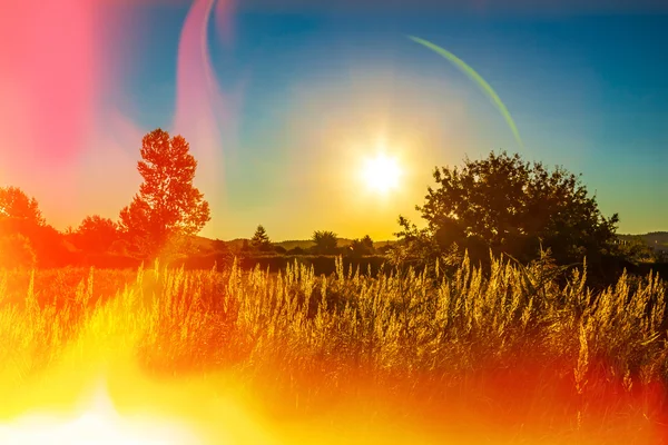 Drought - natural disaster — Stock Photo, Image