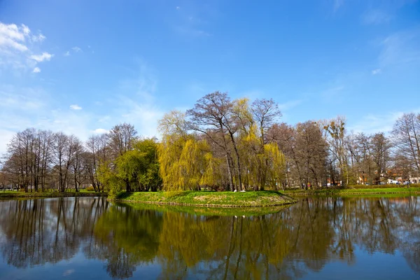 Pond in the park — Stock Photo, Image