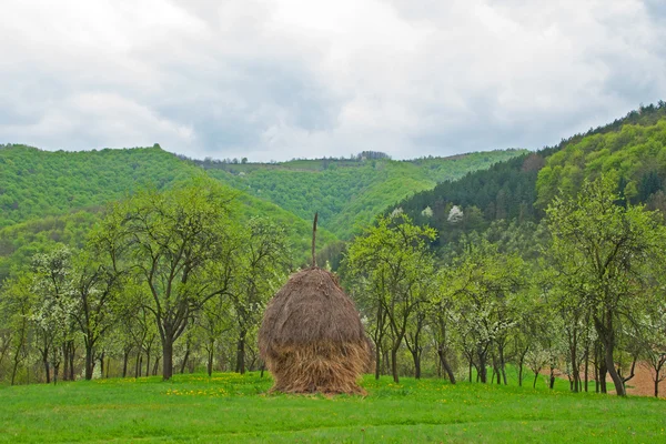 Haystack. — Fotografia de Stock