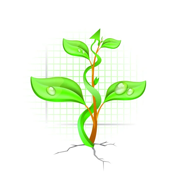 矢印の付いた緑の植物 — ストックベクタ