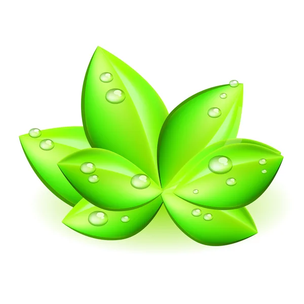 Wektor zielony liść z kropli wody — Wektor stockowy