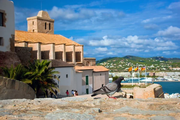 Ciudad vieja de Ibiza, España —  Fotos de Stock