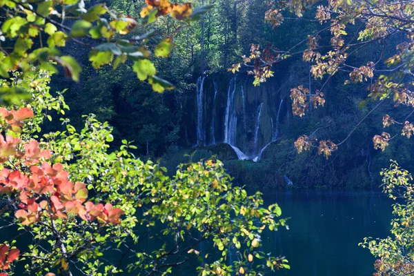 Cachoeira na floresta. Água cristalina . — Fotografia de Stock