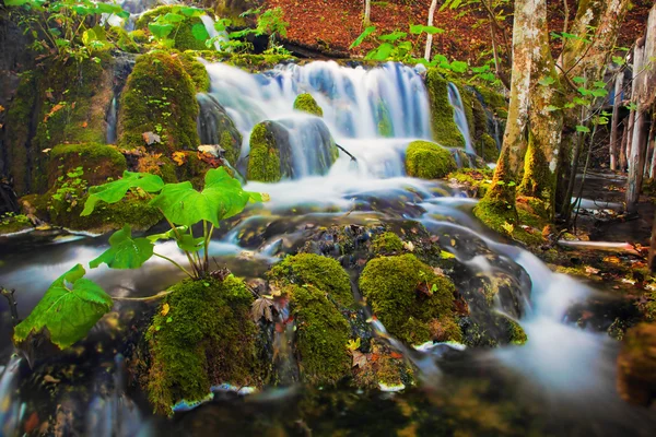 숲에 폭포입니다. 수정 같이 맑은 물. — 스톡 사진