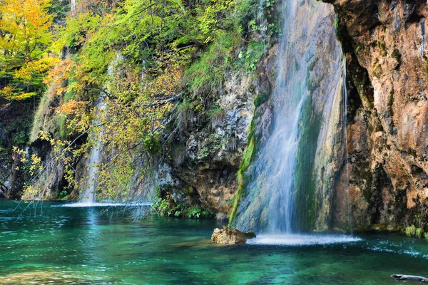 Cascada en el bosque. Agua cristalina . — Foto de Stock