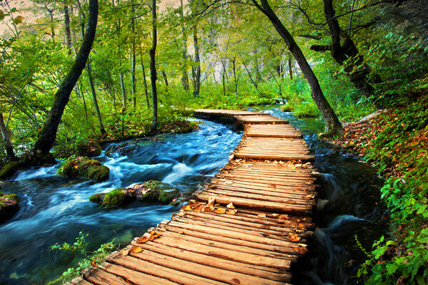 Arroyo profundo del bosque. Agua cristalina . — Foto de Stock