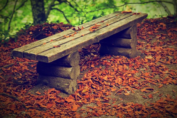 Old bench in autumn forest.