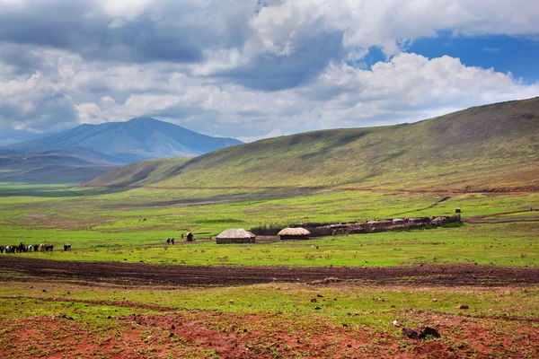 Savannah landscape in Tanzania, Africa — Stock Photo, Image