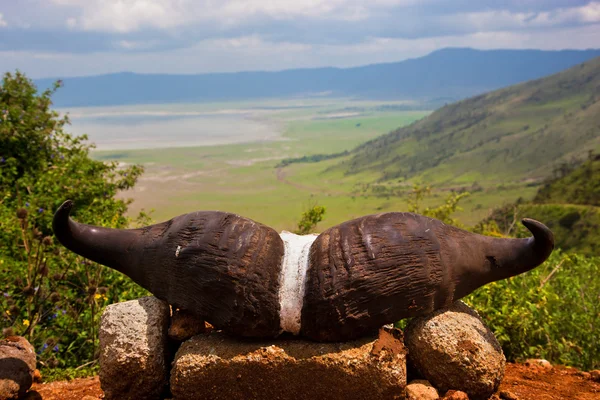 Cratere Ngorongoro in Tanzania, — Foto Stock