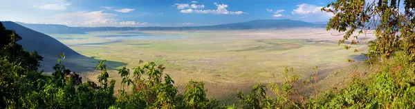 Kráter Ngorongoro v Tanzanii, Afrika. Panorama — Stock fotografie