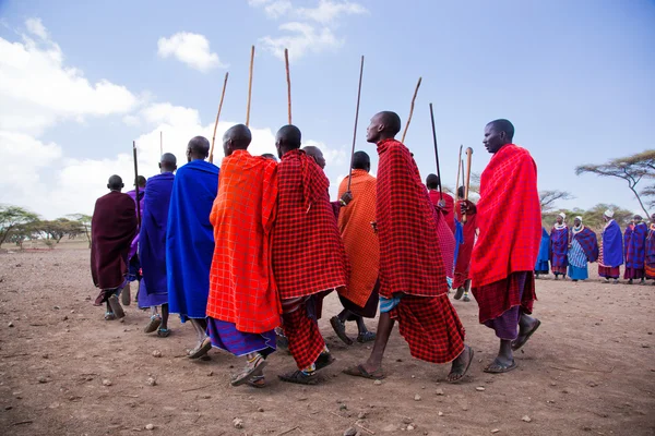 Masajské mužů v jejich rituální tanec v jejich vesnici v Tanzanii, Afrika — Stock fotografie