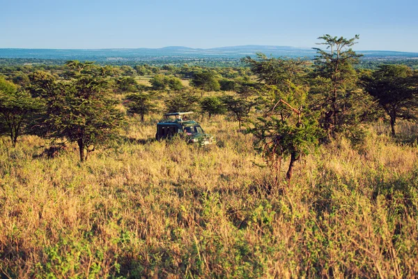 Τζιπ με τουρίστες για σαφάρι στην Αφρική serengeti, Τανζανία,. — Φωτογραφία Αρχείου