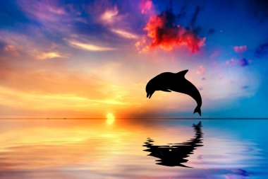 Beautiful ocean and sunset, dolphin jumping clipart