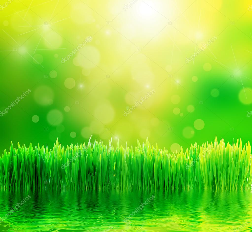 Green nature background with fresh grass and water — Stock Photo ©  Photocreo #25103887, image size:1023x942