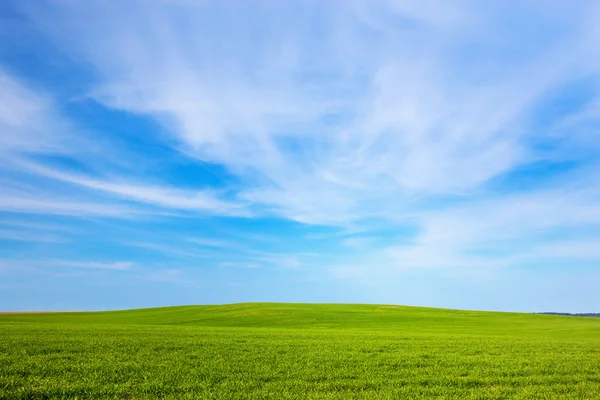 緑の野原の風景、晴れた青空 — ストック写真