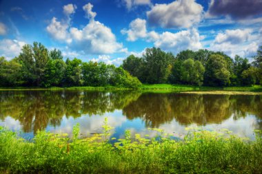 Lake in a summer forest clipart