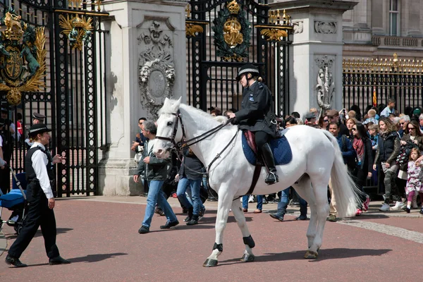 LONDRES - 17 DE MAYO: Guardias reales británicos montan a caballo y realizan el Cambio de Guardia en el Palacio de Buckingham —  Fotos de Stock