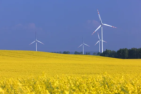 Parc d'éoliennes sur le champ de colza. Écologie, environnement — Photo