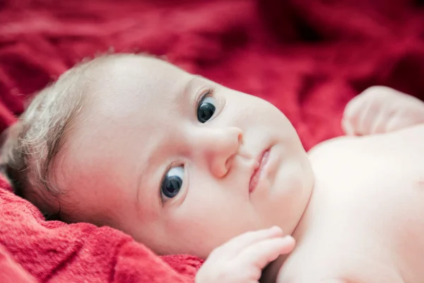 Bonito bebê de 3 meses deitado na cama e olhando para a câmera — Fotografia de Stock