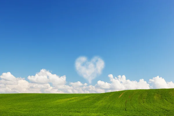 Hjärtformade moln ovanför gröna sommaren fältet landskap — Stockfoto