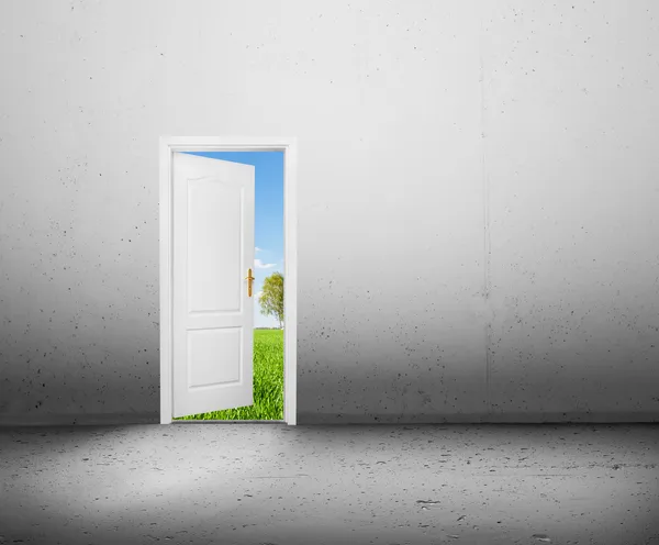 Open door to a new world, the green summer landscape. Conceptual — Stock Photo, Image