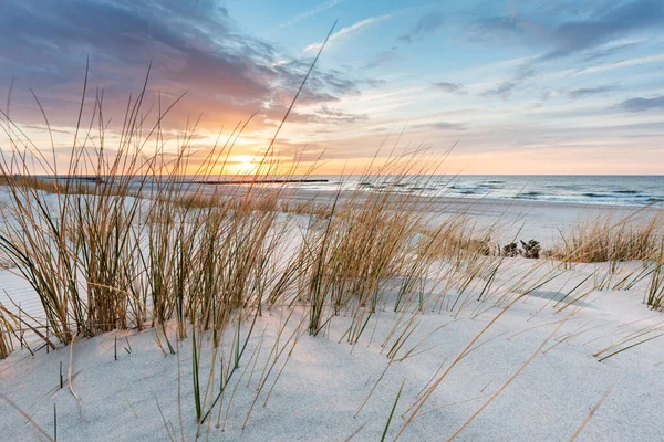 Strandgräs Sanddyn Östersjön Vid Solnedgången Lugnt Landskap — Stockfoto
