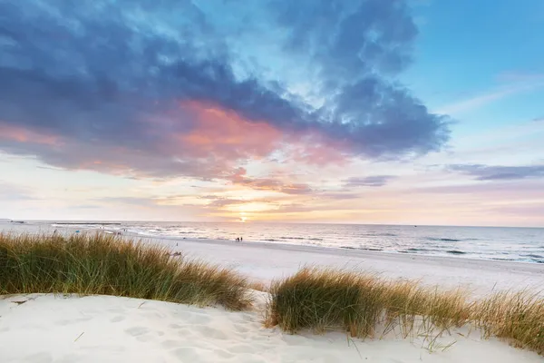 沙丘上的海滩草 日落时分的波罗的海 平静的风景 — 图库照片
