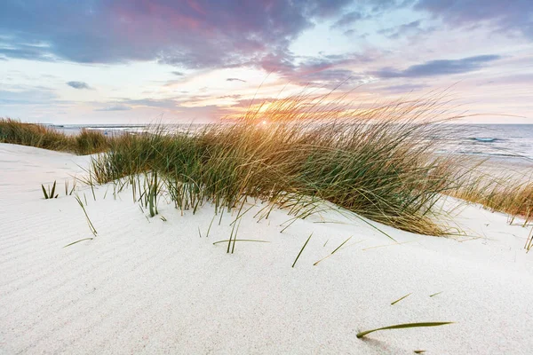 Grama Praia Duna Mar Báltico Pôr Sol Paisagem Calma — Fotografia de Stock