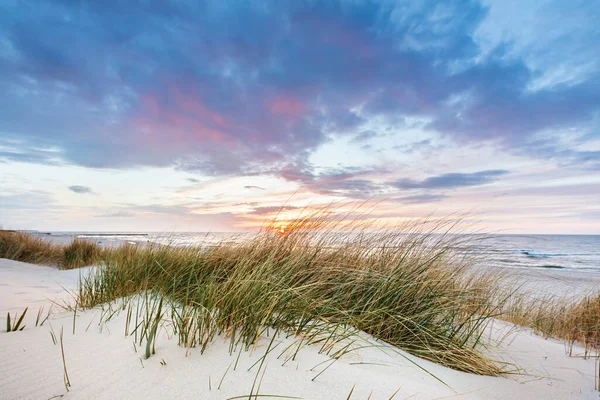 Παραλία Γρασίδι Αμμόλοφο Βαλτική Θάλασσα Στο Ηλιοβασίλεμα Ήρεμο Τοπίο — Φωτογραφία Αρχείου
