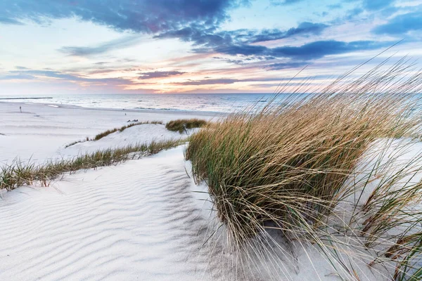 Strand Gras Duin Baltische Zee Bij Zonsondergang Kalme Omgeving — Stockfoto