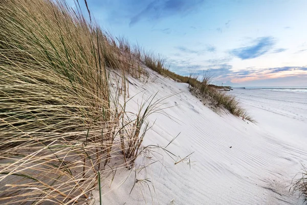 Strand Gras Duin Baltische Zee Bij Zonsondergang Kalme Omgeving — Stockfoto