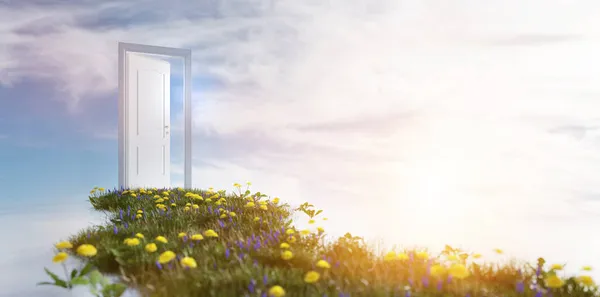 Зелена Трава Відкриває Двері Сонячному Небі Надія Нове Життя Концепція — стокове фото