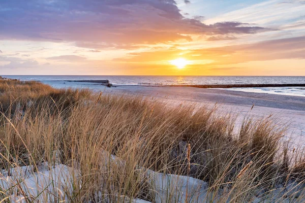 Παραλία Γρασίδι Αμμόλοφο Βαλτική Θάλασσα Στο Ηλιοβασίλεμα Ήρεμο Τοπίο — Φωτογραφία Αρχείου
