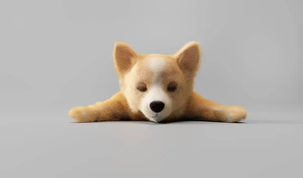 小狗在睡觉 3D插图 — 图库照片