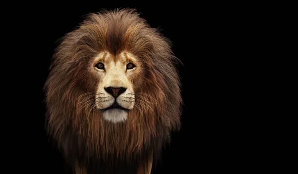 Lion Portrait Black Illustration — Stockfoto