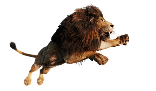 Lion Jump Attack Isolated White Illustration — Stock Photo, Image