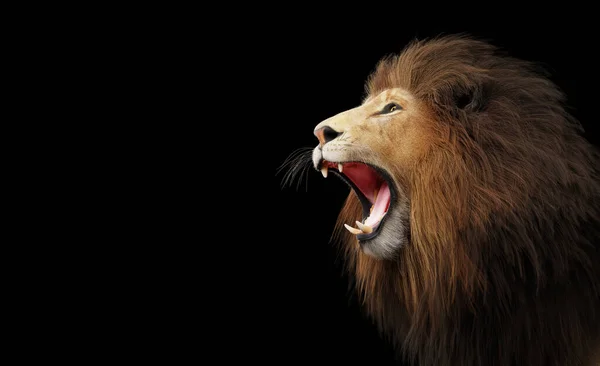 Lion Roaring Portrait Black Illustration — Stock Photo, Image