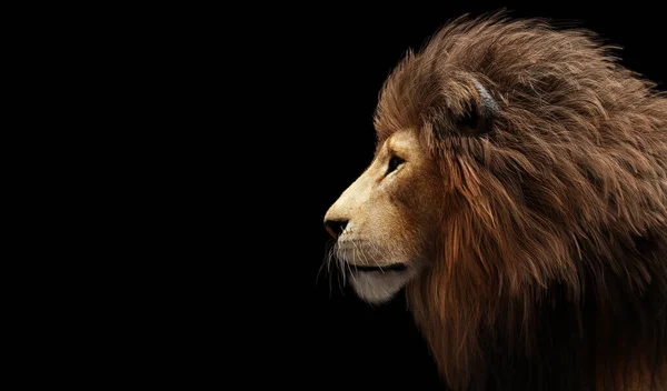 Lion Portrait Black Illustration — Stock Photo, Image