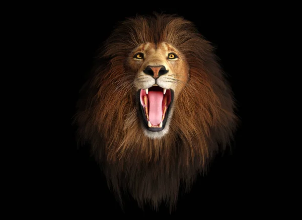 Lion Roaring Portrait Black Illustration — Stock Photo, Image