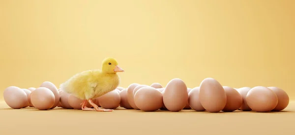 Oeufs Pâques Poulet Bébé Sur Fond Jaune — Photo