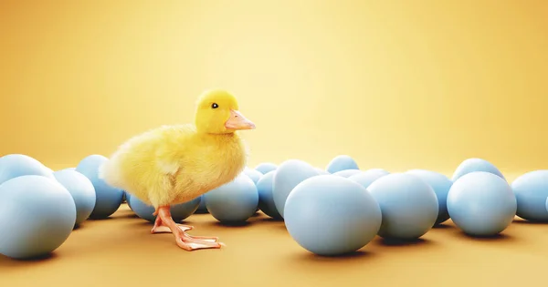 Ovos Páscoa Frango Bebê Fundo Amarelo — Fotografia de Stock